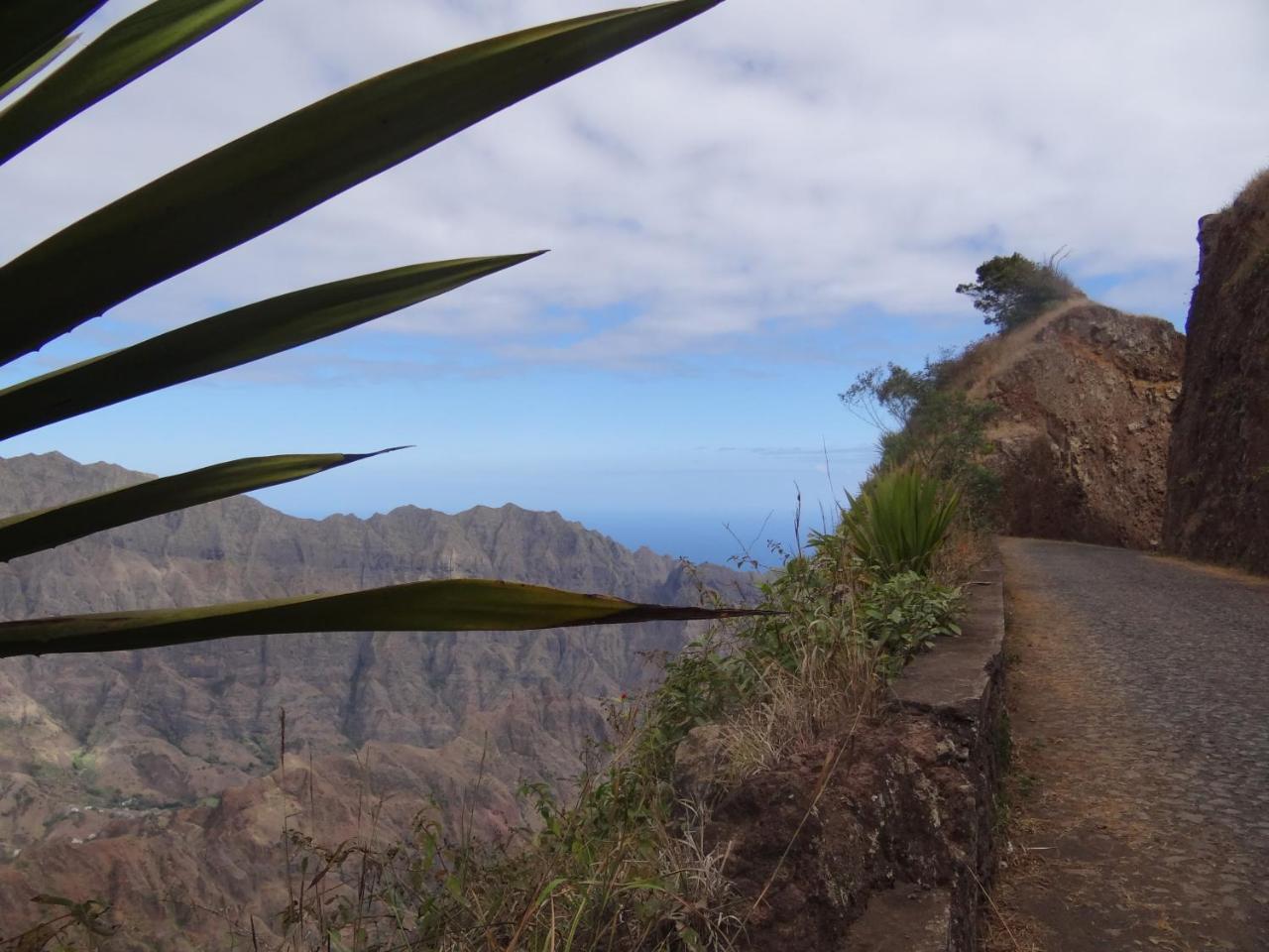 Casa Madeira Villa ปอร์โตโนโว ภายนอก รูปภาพ